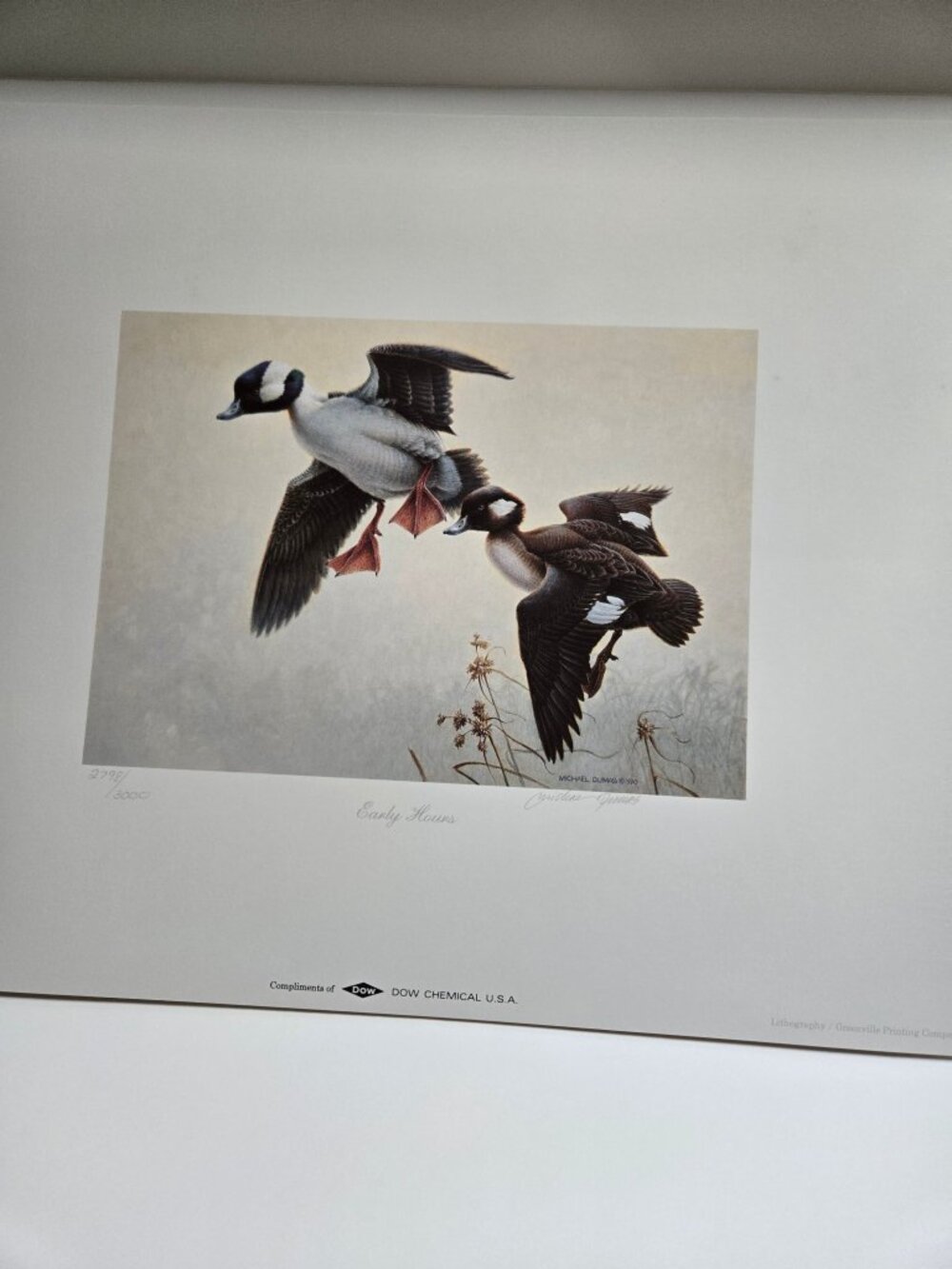 Michael Dumas “Early Hours” Ducks Unlimited Lithograph + 1991 Stamp – Signed